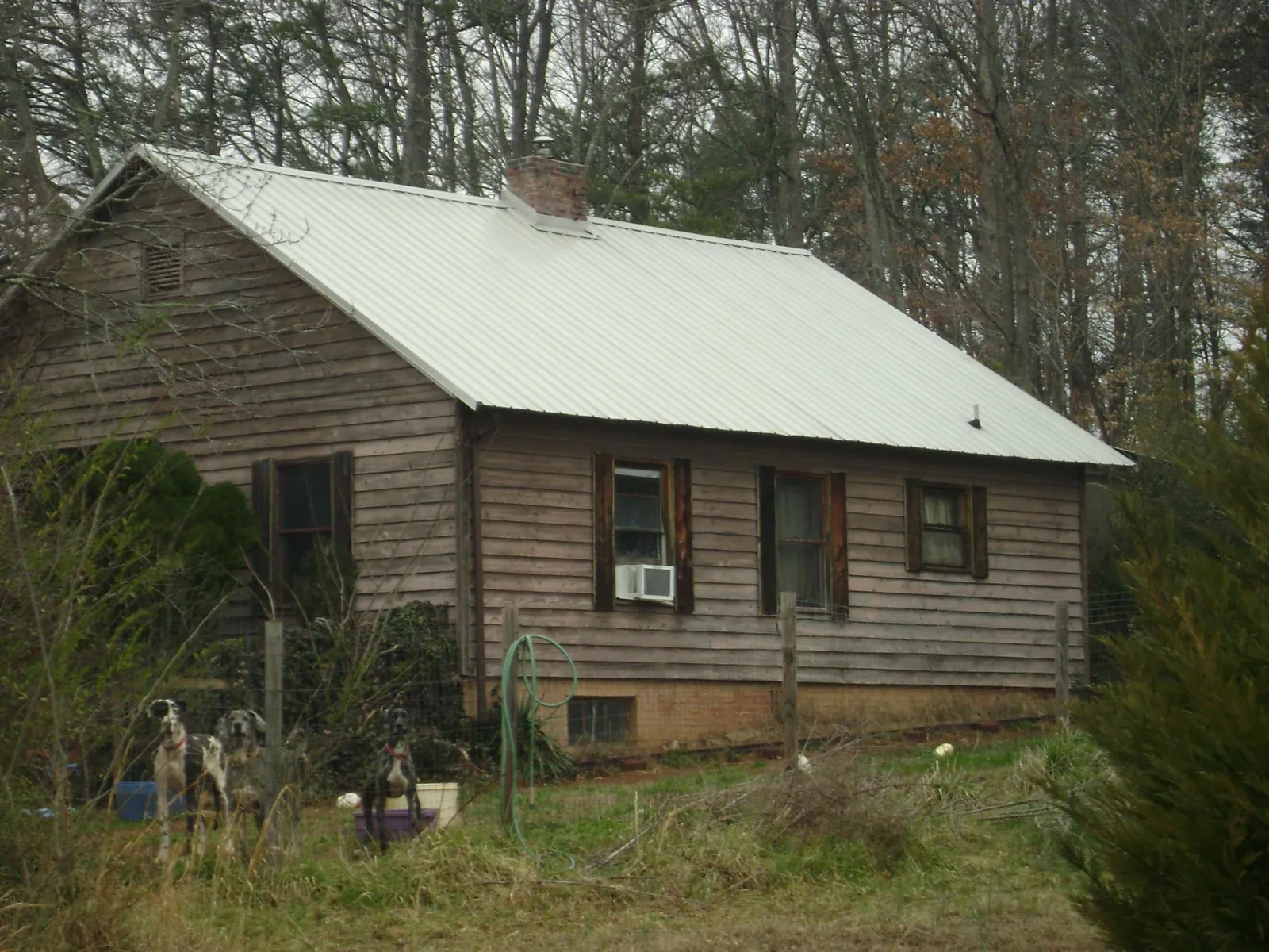 White metal roof on an old wood sided farmhouse, from a Asphalt Shingle Roof Repair job in South Lyme